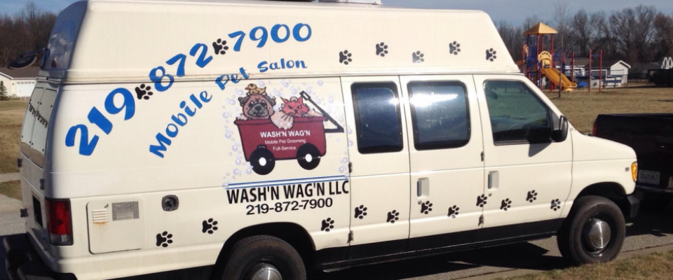 wash n wag dog grooming